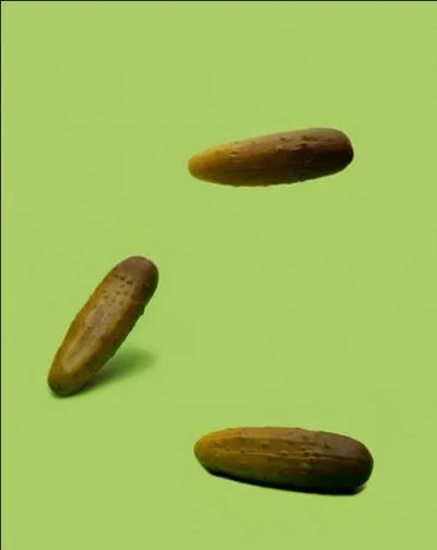 Dans le Connecticut, la loi prcise qu'un cornichon doit rebondir, pour tre officiellement reconnu comme cornichon !