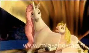 Comment s'appelle le bb de Lirlia ?