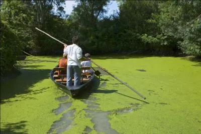 Quelle tait la signification du mot ve chez moi ?