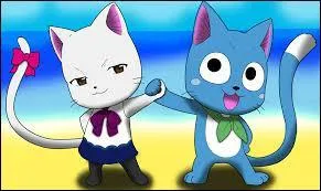 Comment sont appels les animaux qui accompagnent les Dragon Slayers ?