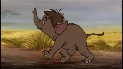 Qui est ce petit lphant chevelu ?