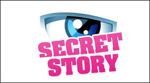 Quels anges sont issus de  Secret Story  ?