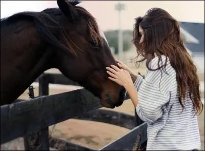 Quelle est la discipline qui comprend en mme temps du dressage et du saut ?