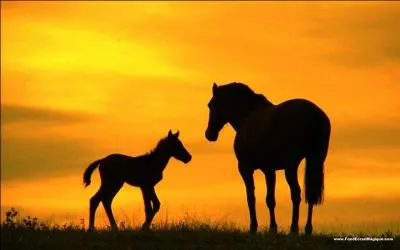 Pnlope le Prvaut en fait , c'est ...