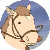 Comment s'appelle le poney de Sarah ?