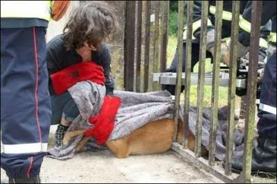 Cet animal vient d'tre sauv, qui est-il ?