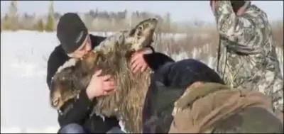 Mme cet animal a pu tre sauv, connaissez-vous son nom ?