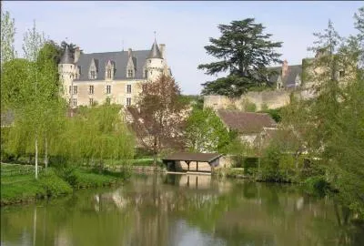 Dans quel dpartement tes-vous si vous visitez le village de Montrsor, o le comte d'Anjou Foulques III dit Nerra (le noir) avait construit une forteresse , remplace aujourd'hui par un chteau Renaissance ?