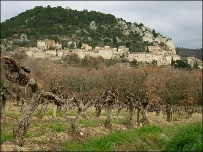 Quel est ce plaisant village du dpartement du Vaucluse situ au pied des Dentelles de Montmirail, balcon sur le Comtat Venaissin et la valle du Rhne ?