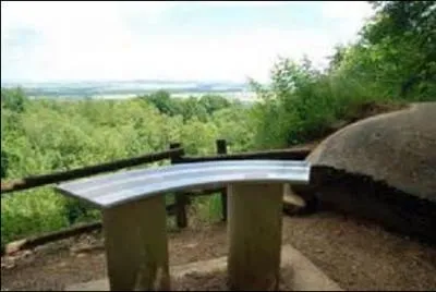 Situé entre Reims et Épernay un ensemble boisé appelé "Montagne de Reims" abrite le lieu le plus haut du département avec une altitude de 283 mètres. Comment se nomme ce mont ?