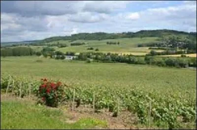 Ma population était en 2010 d'environ 565 307 habitants, soit une densification de 40% de la région dont je fais partie. Mais sur le plan national, quel est mon rang dans les départements les plus peuplés ?