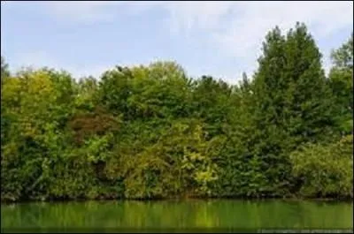 Mon code Insee (numéro de département) est le n°52.