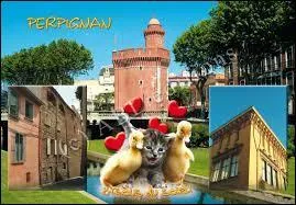 Nous partons nous balader dans les rues de la ville de Perpignan. Pour cela, nous devons nous rendre en rgion ...