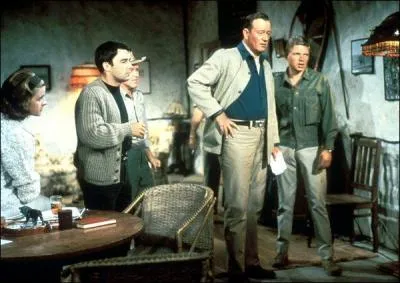 Quel est le titre de ce film ?