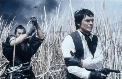 Quel est le titre de ce film ?