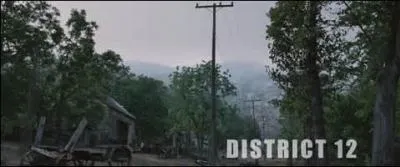 Avec quelle sorte de rcompense Peeta et Kathniss reviennent-ils au District 12 ?