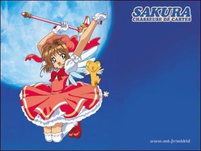 Comment s'appelle le meilleur ami du frère de Sakura ?