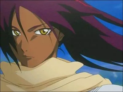 En quoi Yoruichi peut-elle se transformer ?