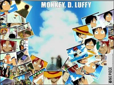 De qui Luffy tient-il le Chapeau de paille ?