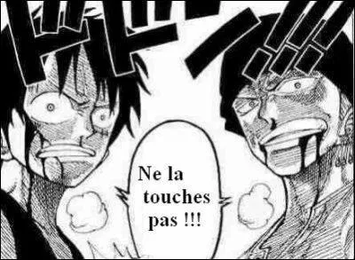 Qui de l'quipage du Chapeau de paille est le second de Luffy ?