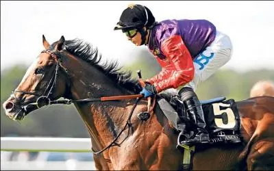 Quel est le trophée remporté tous les ans en France par le meilleur jockey ?