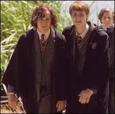 Severus Rogue a eu un surnom dans sa jeunesse, Servilus. Qui le lui avait donn ?