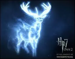Ensuite, un moins clbre :  Patronus Potter . Qui lui a attribu ce surnom ?