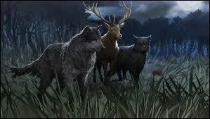 Citez les deux surnoms de Sirius lorsqu'il est chang en chien.