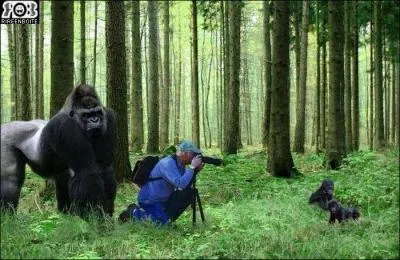 Trouvez le nom du chanteur !