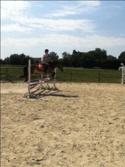 quitation - Comment s'appelle cet obstacle ?