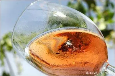  Aprs cinquante-trois ans d'une carrire hors srie, le doyen des avocats vient de raccrocher sa toge . Quelle est la dfinition de  toge  ?