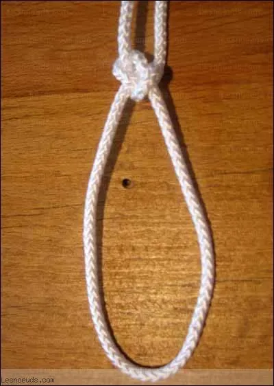 Quel est ce noeud marin ?