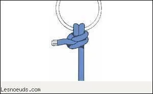 Quel est ce noeud marin ?