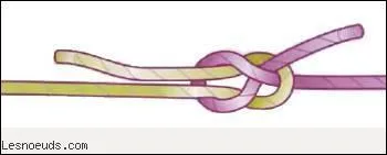 Quel est ce noeud marin ?