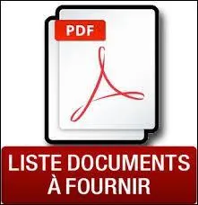 Que fournit la pile  la lampe ?