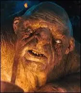 Par quelle ruse Gandalf sauve-t-il les nains des trolls dans le livre ?