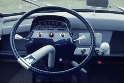 Celui-ci est typ Citron, mais auquel d'entre eux appartient-il ?