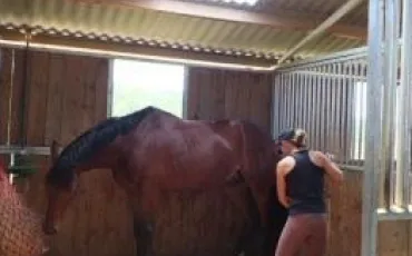 Quiz Galop 3