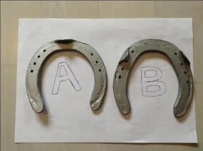 Quel est le fer pour les postrieurs ?