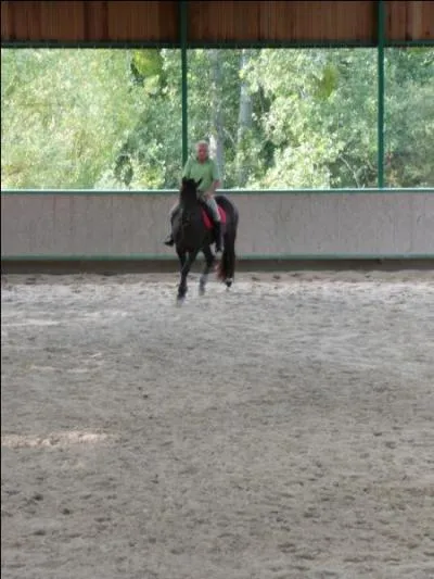 Comment faire pour conduire un cheval au trot sur des courbes serres ?
