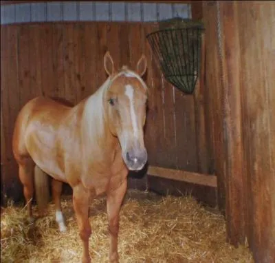 Quelles sont les diffrentes utilits de la litire ?