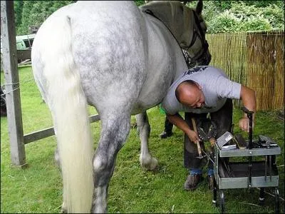 Que connais-tu sur la ferrure et sur les fers ?