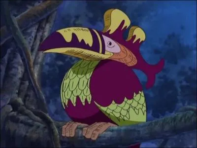 Quel est cet oiseau ?