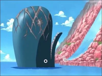 Qui est cette baleine ?