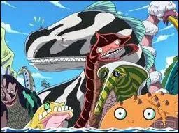 Qui sont ces cratures que l'quipage au Chapeau de Paille rencontrs sur Calm Belt ?