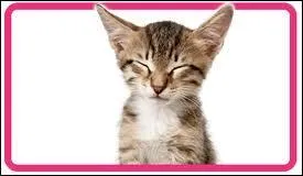 Qui est sa matresse ?