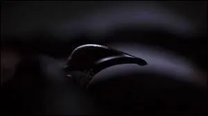 Comment s'appelle l'association qui couvre les mfaits d'agents hauts grads de l'Etat de Californie dont John le Rouge fait partie ?