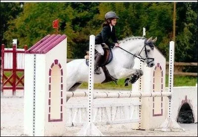 En quoi consiste le concours de saut d'obstacles ?