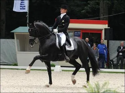 En quoi consiste le concours de dressage ?