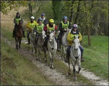 Les concours d'endurance se droulent sur des parcours de combien de km ?